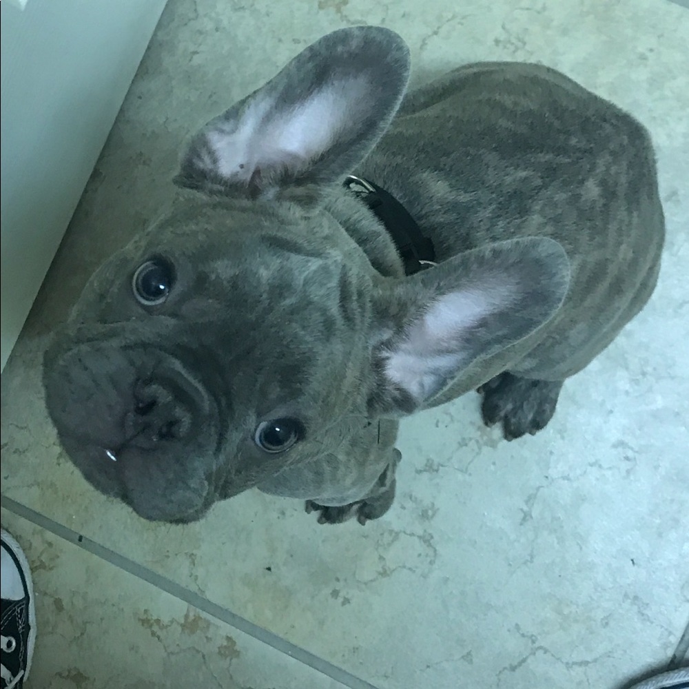 Meet your Posher, Lilliana